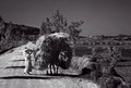 3062 Korea 13 book copy-dn_exp bwbook