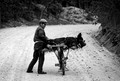 3064 Korea 10_exp bwbook