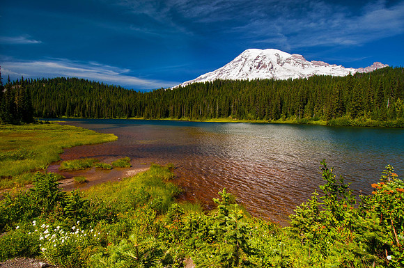 _RS22463