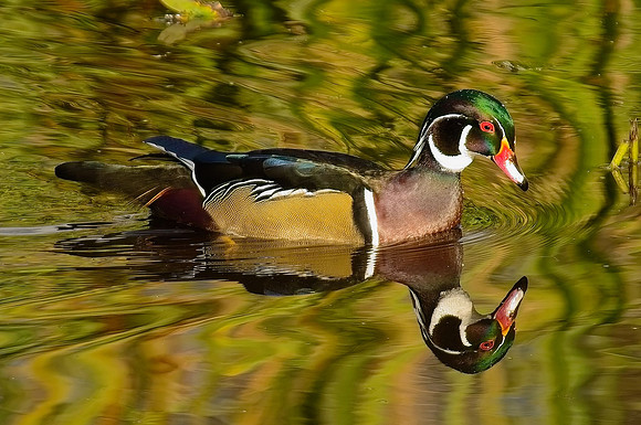 _DSC2325_exp