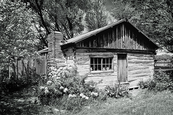 _RS19474_exp
