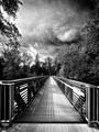 37_IMG_4429_exp