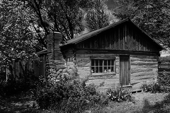 _RS19474_exp bwbook