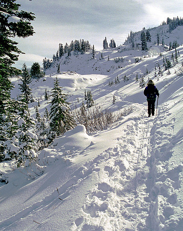 trail_to_deweylake