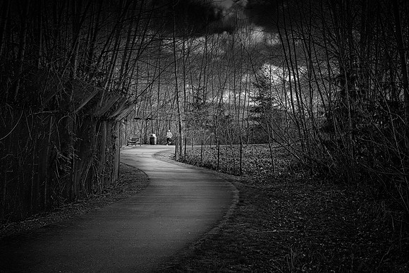 _ZFC0592_exp