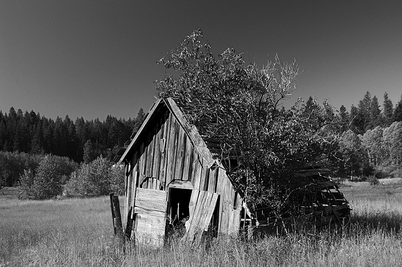 DSC_4375_exp bwbook