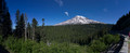 _RS08962 exp__RS08968 exp