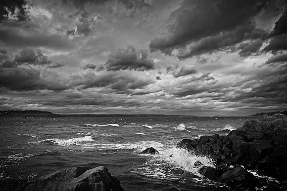 _RS08205_exp bwbook