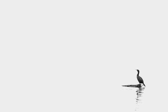 _RS08831_exp bwbook