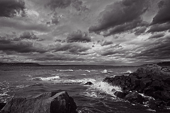 _RS08205_exp
