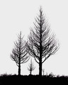 2019-12-23-021 bw_exp bwbook