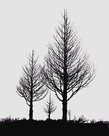 2019-12-23-021 bw_exp bwbook