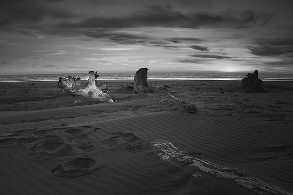 _RS05580_Focus_exp bwbook