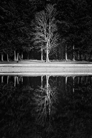 _RS04135_exp bwbook