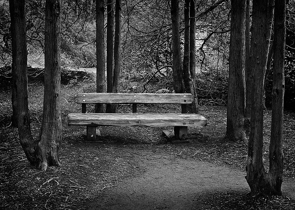 _DSC3123_exp bwbook