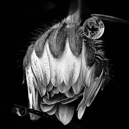 2019-04-04 7stack 8x10_exp bwbook