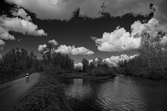 _RS04074_exp