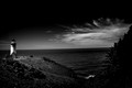 _RSF7638_exp